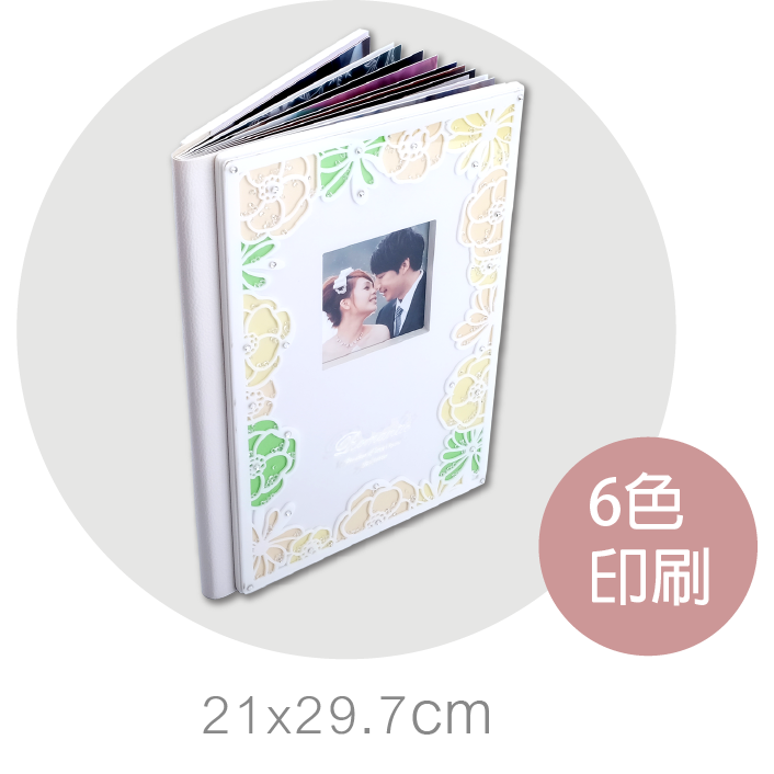 直A4蝴蝶書